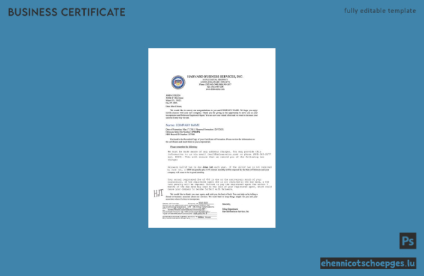 Registrierungszertifikat für Delaware, USA (Word und PDF), Version 2 – Beispielvorschau